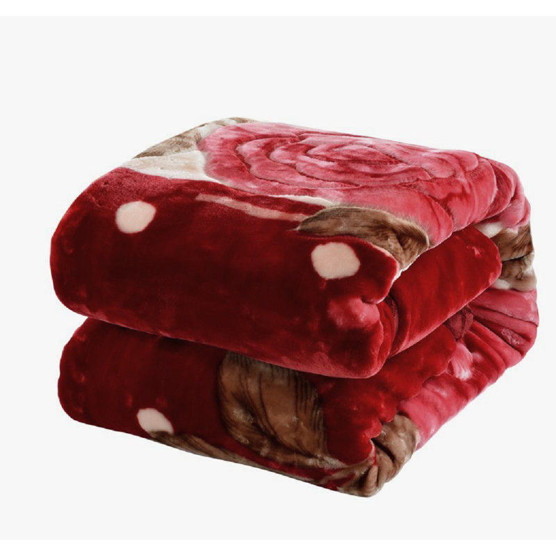 Red Barrel Studio® Drumaroan Heavy Korean Mink Blanket & Reviews Wayfair